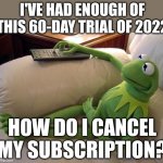 I've already had enough, can we just fast forward to 2028, or should we just go back to 1990 and bring our tech and music? | I'VE HAD ENOUGH OF THIS 60-DAY TRIAL OF 2022 HOW DO I CANCEL MY SUBSCRIPTION? | image tagged in kermit on couch with remote,2022,2022 sucks,cancelled,television | made w/ Imgflip meme maker