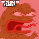 ah Karens | PERSON: *BREATHES*; KARENS: | image tagged in reeeeeeeeeeeeeeeeeeeeee | made w/ Imgflip meme maker