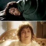 frodo sleep awake