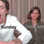True | Me on Monday; Me on Sunday | image tagged in chalamet zendaya | made w/ Imgflip meme maker