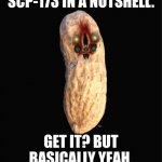 I prob posted cringe but pls don't harass me! | SCP-173 IN A NUTSHELL. GET IT? BUT BASICALLY YEAH. | image tagged in the holy peanut | made w/ Imgflip meme maker