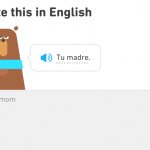 Duolingo Your Mom