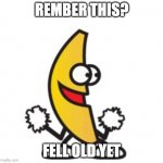 old | REMBER THIS? FELL OLD YET | image tagged in peanut butter jelly time | made w/ Imgflip meme maker