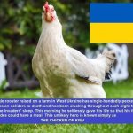 The Chicken of Kiev meme