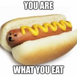you are what you eat | YOU ARE; WHAT YOU EAT | image tagged in doge hot doge,hot | made w/ Imgflip meme maker