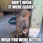 Monkey see, monkey do. | DON'T WISH IT WERE EASIER. WISH YOU WERE BETTER. | image tagged in drunken ass monkey,life lessons,life advice | made w/ Imgflip meme maker