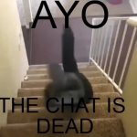 Ayo the chat is dead GIF Template
