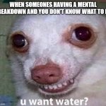 U want water? | WHEN SOMEONES HAVING A MENTAL BREAKDOWN AND YOU DON'T KNOW WHAT TO DO | image tagged in u want water,dog,funny chihuahua,funny dog | made w/ Imgflip meme maker