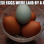 It's true | THESE EGGS WERE LAID BY A HEN | image tagged in blue egg among brown eggs,memes | made w/ Imgflip meme maker