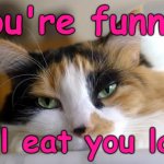 Calico Cat - you're funny, I'll eat you last | You're funny. I'll eat you last | image tagged in calico cat kitten pet beautiful,humor,funny,cat,joke,pets | made w/ Imgflip meme maker