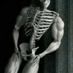Buff Skeleton