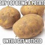 potato | DAY 1 OF BEING A POTATO; UNTIL I GET NOTICED | image tagged in potato | made w/ Imgflip meme maker