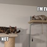 two brothers | I’M EVIL; I’M NOT | image tagged in two brothers | made w/ Imgflip meme maker