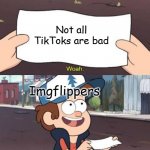 Not all of TikTok is cringe (even though most of it is) | Not all TikToks are bad; Imgflippers | image tagged in wow this is useless | made w/ Imgflip meme maker