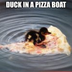 Duck in a pizza boat | DUCK IN A PIZZA BOAT | image tagged in duck in a pizza boat | made w/ Imgflip meme maker