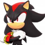 Sonic Kissing Shadow Meme Generator - Imgflip
