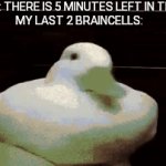 D U C K | TEACHER: THERE IS 5 MINUTES LEFT IN THE FINAL
MY LAST 2 BRAINCELLS: | image tagged in gifs,duck,funny,school,finals | made w/ Imgflip video-to-gif maker