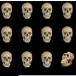 Skulls template