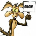 Wile E. Coyote with sign | OUCH! | image tagged in wile e coyote with sign | made w/ Imgflip meme maker