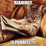 Smart Cat | READING!! IS PURRFECT!! | image tagged in smart cat | made w/ Imgflip meme maker