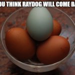 Blue egg among brown eggs | DO YOU THINK RAYDOG WILL COME BACK? | image tagged in blue egg among brown eggs,memes | made w/ Imgflip meme maker