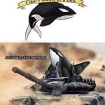 Orca I don’t belong in a tank