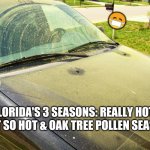 Florida's 3 Seasons | 😷; FLORIDA'S 3 SEASONS: REALLY HOT, 
NOT SO HOT & OAK TREE POLLEN SEASON | image tagged in pollen covered car,florida weather memes,seasons in florida,florida memes,face mask memes,fun | made w/ Imgflip meme maker