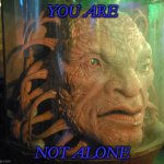 You are not alone | YOU ARE; NOT ALONE | image tagged in face of boe | made w/ Imgflip meme maker