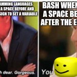 Bash scripting is pain | BASH WHEN YOU ADD A SPACE BEFORE AND AFTER THE EQUAL SIGN; OTHER PROGRAMMING LANGUAGES WHEN YOU ADD A SPACE BEFORE AND AFTER THE EQUAL SIGN TO SET A VARIABLE | image tagged in you oof donkey,bash,programming,programmers,coding,funny | made w/ Imgflip meme maker