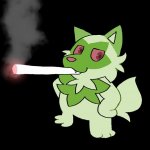 Weed Cat