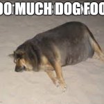 Too much dogfood | TOO MUCH DOG FOOD | image tagged in dog,fat dog | made w/ Imgflip meme maker