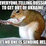 like why not send a few thousand people like not that hard | EVERYONE TELLING RUSSIA TO GET OUT OF UKRAINE:; YET NO ONE IS SENDING HELP | image tagged in stop squirrel | made w/ Imgflip meme maker