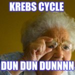 Calvin Cycle | KREBS CYCLE; DUN DUN DUNNNN | image tagged in calvin cycle | made w/ Imgflip meme maker