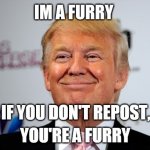 You're a furry | IM A FURRY | image tagged in if you don't repost your a furry | made w/ Imgflip meme maker