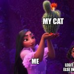 I love my cat | MY CAT; ME; LEGIT EVERYONE ELSE IN MY FAMILY | image tagged in mirabel and isabella | made w/ Imgflip meme maker