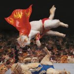 wrestling cat