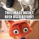 Shock dog | THIS IMAGE HASN'T BEEN USED BEFORE! IT HAS NOW | image tagged in shock surprise dog therapy | made w/ Imgflip meme maker