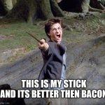 Harry potter | THIS IS MY STICK AND ITS BETTER THEN BACON | image tagged in harry potter | made w/ Imgflip meme maker