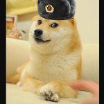 doge with russian hat