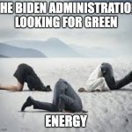 Green energy search | THE BIDEN ADMINISTRATION LOOKING FOR GREEN; ENERGY | image tagged in ostrich head in sand | made w/ Imgflip meme maker