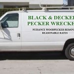 Big white van | BLACK & DECKER'S
PECKER WRECKERS; NUISANCE WOODPECKER REMOVAL
REASONABLE RATES | image tagged in big white van | made w/ Imgflip meme maker