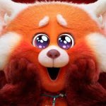 Red Panda cute eyes meme