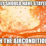 Heatwave | PROBABLY SHOULD HAVE STAYED INSIDE; WITH THE AIRCONDITIONING | image tagged in heatwave | made w/ Imgflip meme maker