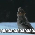 ATHENAAAAAA GIF Template