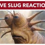 Live slug reaction
