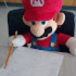 Mario writing facts meme