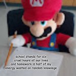 Mario writing facts | school stands for six cruel hours of our lives and homework is half of my energy wasted on random knowlege | image tagged in mario writing facts | made w/ Imgflip meme maker