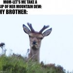 furious deer | MOM-LET'S ME TAKE A SIP OF HER MOUNTAIN DEW:; MY BROTHER: | image tagged in furious deer | made w/ Imgflip meme maker