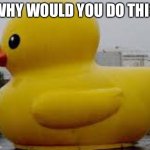 the GODS helper | WHY WOULD YOU DO THIS | image tagged in when the duck is bigger than the tub | made w/ Imgflip meme maker