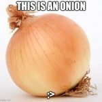 Onion | THIS IS AN ONION; :> | image tagged in onion | made w/ Imgflip meme maker